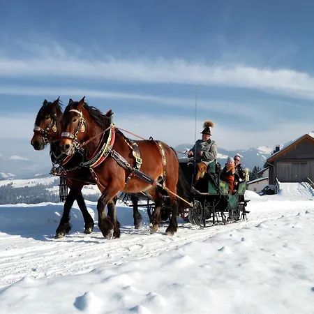 In Muehlbach Near Hochkoenig Area Σαλέ