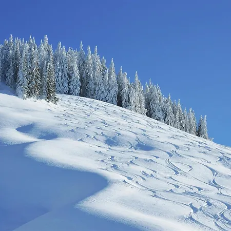 샬레 In Muehlbach Near Hochkoenig Area Mühlbach am Hochkönig
