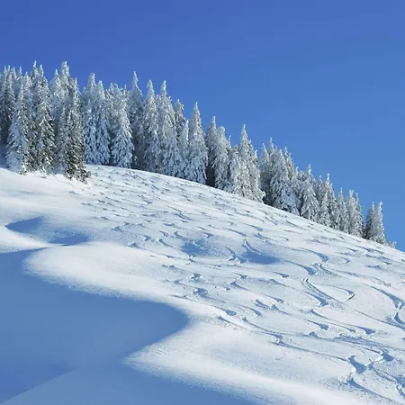 Chalet In Muehlbach Near Hochkoenig Area Muhlbach Am Hochkonig