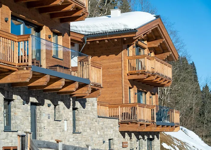 In Muehlbach Near Hochkoenig Area 木屋 *