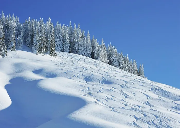 Chalet In Muehlbach Near Hochkoenig Area Mühlbach am Hochkönig